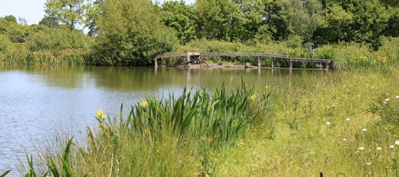 Terrain à Mayenne, France No. 357635 4