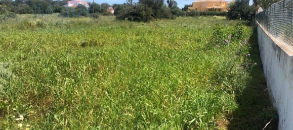 Terreno em Almancil, Portugal 3444 m² N.º 82006 6