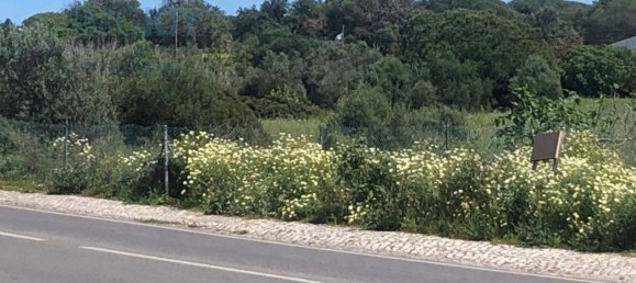 Terreno em Almancil, Portugal 3444 m² N.º 82006 13