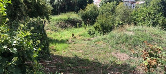 3700m² Land in Ischia, Italy No. 282768 4