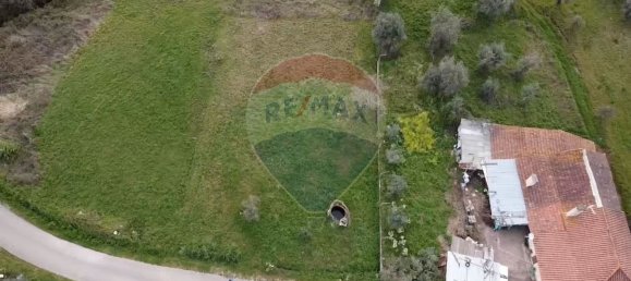 Grundstück in Alvaiazere, Portugal 794m², Nr. 74422 15