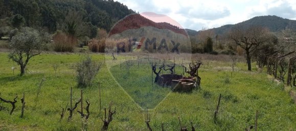 Grundstück in Alvaiazere, Portugal 794m², Nr. 74422 4