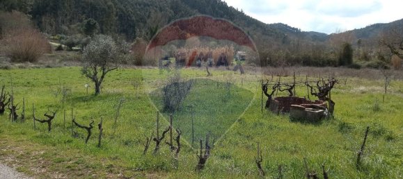 Grundstück in Alvaiazere, Portugal 794m², Nr. 74422 5