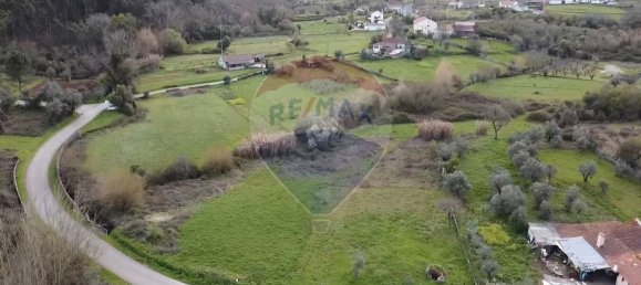 Grundstück in Alvaiazere, Portugal 794m², Nr. 74422 16