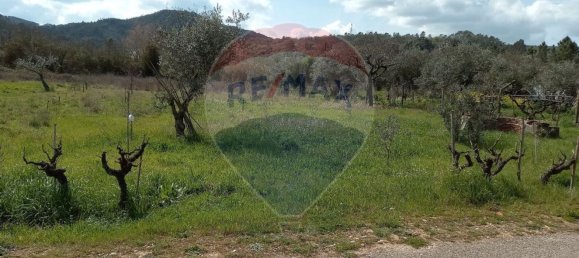 Grundstück in Alvaiazere, Portugal 794m², Nr. 74422 3