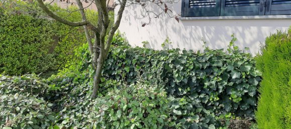 Villa de 8 dormitorios en Valdengo, Italy No. 324494 41