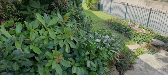 Villa de 8 dormitorios en Valdengo, Italy No. 324494 35