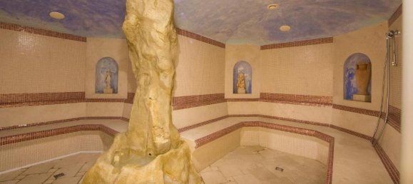 Hotel de 18 dormitorios en Riparbella, Italy No. 70599 10