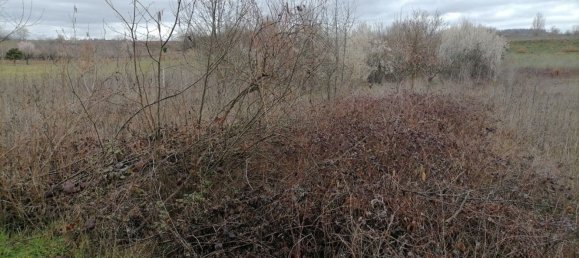 Grundstück in Cuatrovientos, Spain, Nr. 21506 2