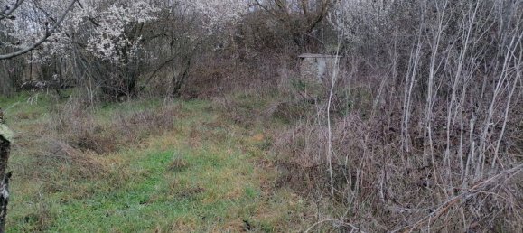 Grundstück in Cuatrovientos, Spain, Nr. 21506 6