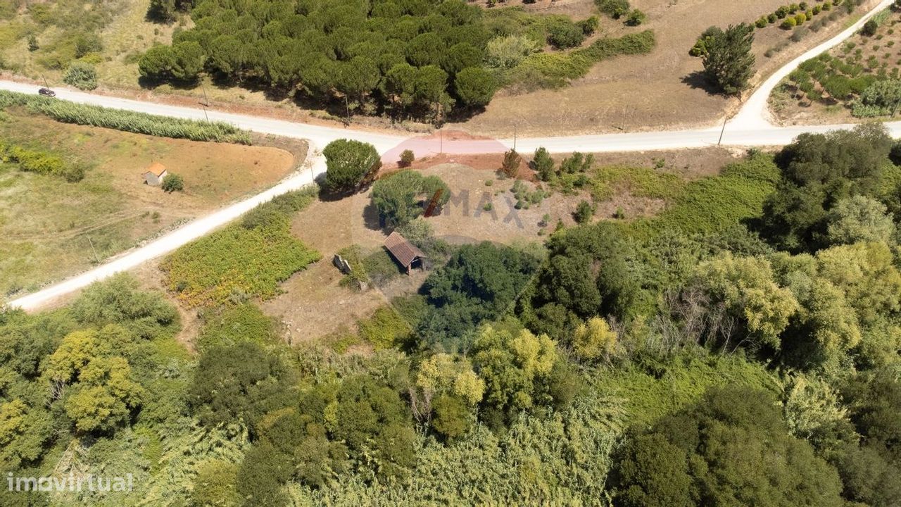 Grundstück in Alcobaca, Portugal 7800m², Nr. 71296