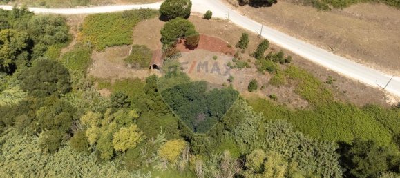 Grundstück in Alcobaca, Portugal 7800m², Nr. 71296 2