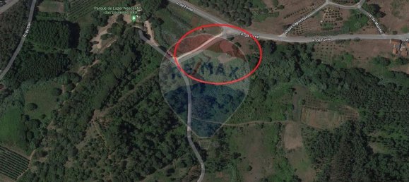 Grundstück in Alcobaca, Portugal 7800m², Nr. 71296 3