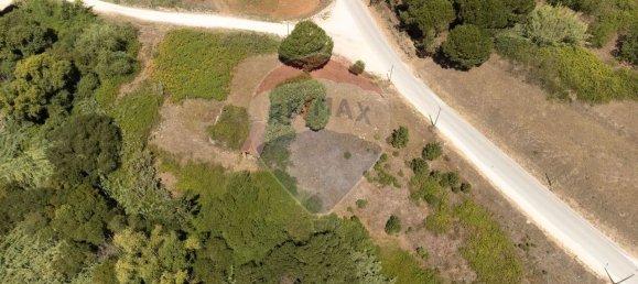 Grundstück in Alcobaca, Portugal 7800m², Nr. 71296 9