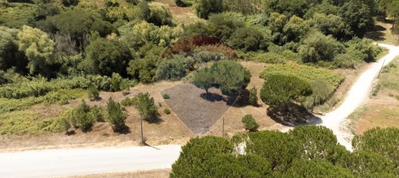 Grundstück in Alcobaca, Portugal 7800m², Nr. 71296 5