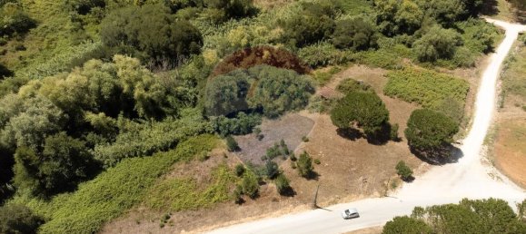 Grundstück in Alcobaca, Portugal 7800m², Nr. 71296 6