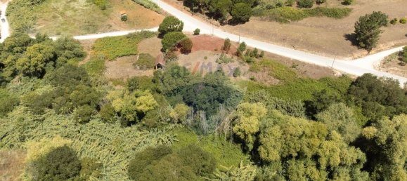 Grundstück in Alcobaca, Portugal 7800m², Nr. 71296 8