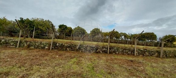 2 Schlafzimmer Haus in Serta, Portugal, Nr. 36870 9