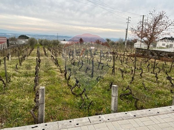 Земельный участок 2470м² в Визеу, Португалия № 57078