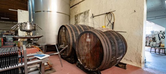 1 غرف نوم منزل في Avelas de Caminho, Portugal رقم 92844 13