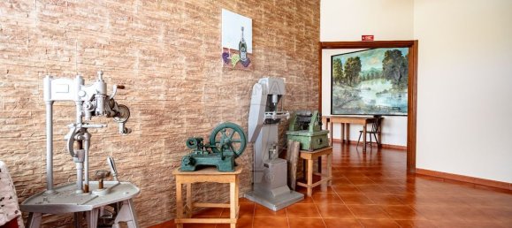 1 غرف نوم منزل في Avelas de Caminho, Portugal رقم 92844 4