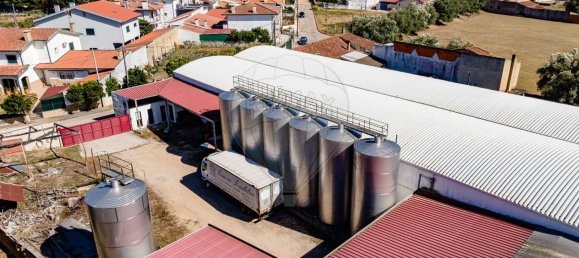 1 غرف نوم منزل في Avelas de Caminho, Portugal رقم 92844 3