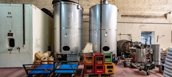 1 غرف نوم منزل في Avelas de Caminho, Portugal رقم 92844 14