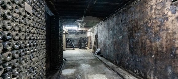 1 غرف نوم منزل في Avelas de Caminho, Portugal رقم 92844 16