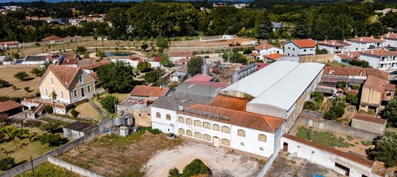 1 غرف نوم منزل في Avelas de Caminho, Portugal رقم 92844 19