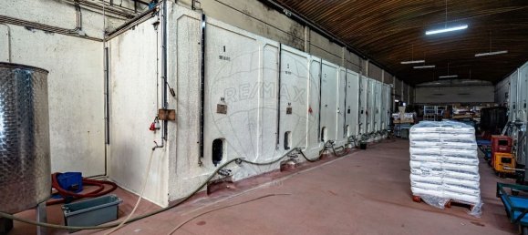 1 غرف نوم منزل في Avelas de Caminho, Portugal رقم 92844 11