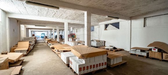 1 غرف نوم منزل في Avelas de Caminho, Portugal رقم 92844 17