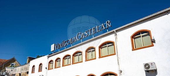 1 غرف نوم منزل في Avelas de Caminho, Portugal رقم 92844 2