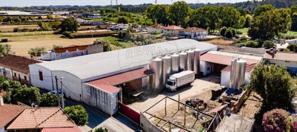 1 غرف نوم منزل في Avelas de Caminho, Portugal رقم 92844 18