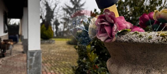 17 rooms House in Strevi, Italy No. 157689 6