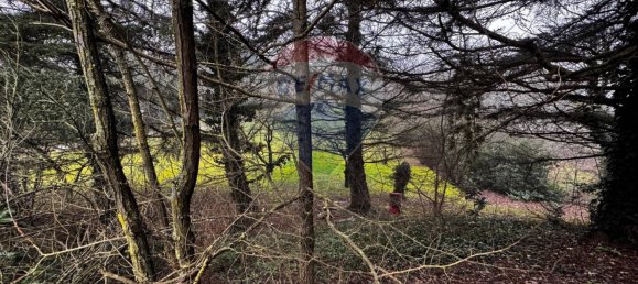 17 rooms House in Strevi, Italy No. 157689 8