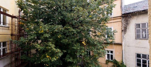 Apartamento de 3 divisões em Baden, Austria N.º 205504 12