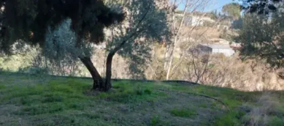 8 Schlafzimmer Haus in Jaen, Spain, Nr. 140338 6