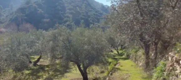 8 Schlafzimmer Haus in Jaen, Spain, Nr. 140338 5