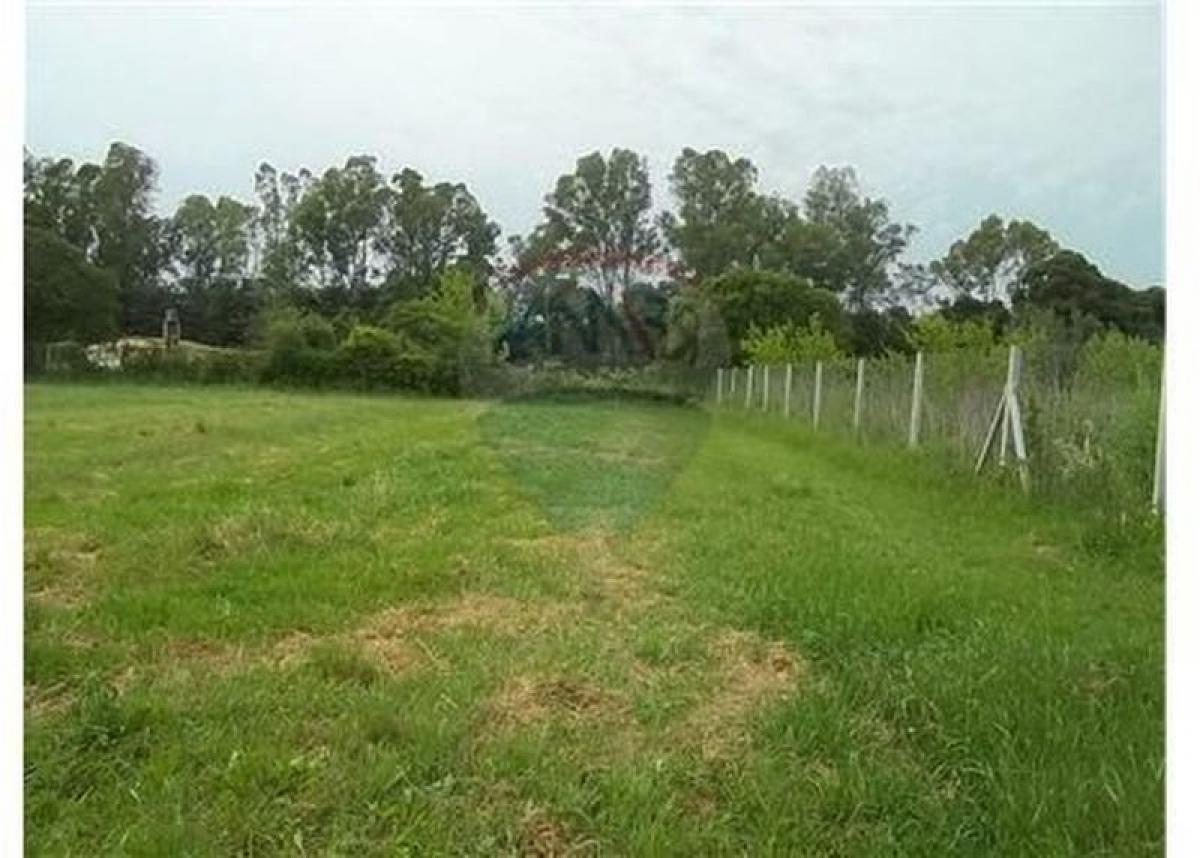 Grundstück in Campo Creado, Argentina, Nr. 44086