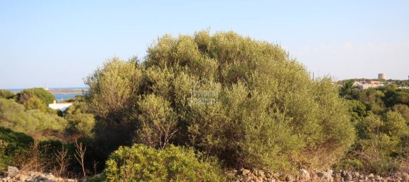 Land in Sant Lluis, Spain No. 3828 5