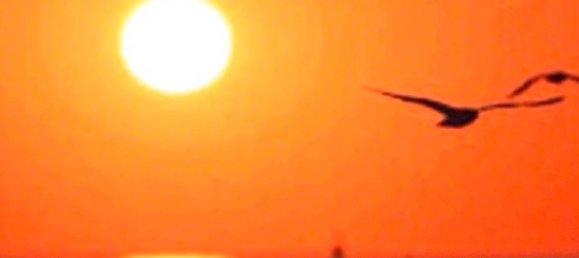 3 bedrooms Apartment in Schleswig-Flensburg, Germany No. 292765 12