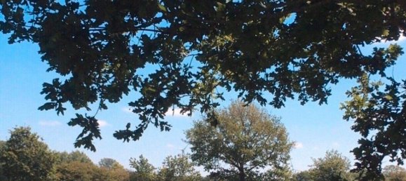 3 bedrooms Apartment in Schleswig-Flensburg, Germany No. 292765 5