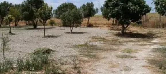 2 Schlafzimmer Haus in Cadiz, Spain, Nr. 166873 8