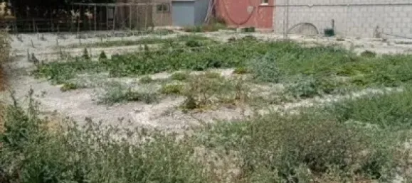 2 Schlafzimmer Haus in Cadiz, Spain, Nr. 166873 10