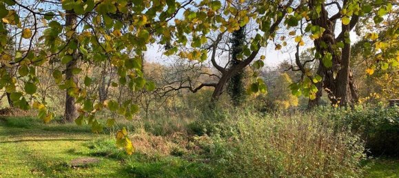 10غرفة منزل في Rostock, Germany رقم 182598 24