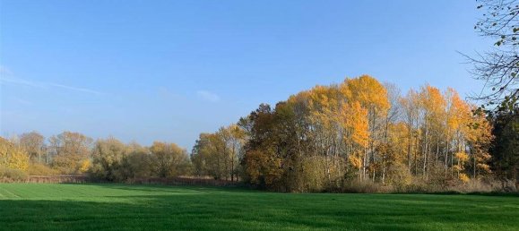 10غرفة منزل في Rostock, Germany رقم 182598 28