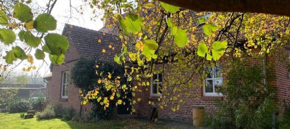 10غرفة منزل في Rostock, Germany رقم 182598 25