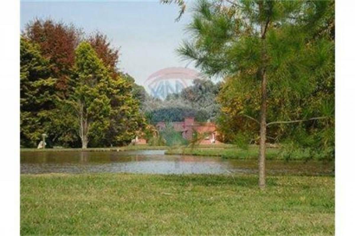 Terrain à Pilar, Argentina No. 117068