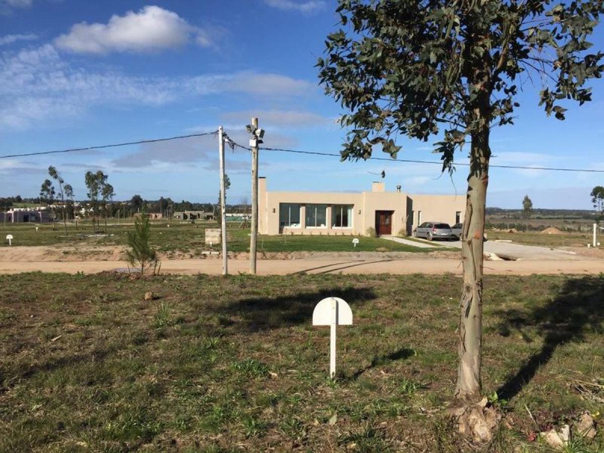 Grundstück in Canelones, Uruguay, Nr. 15938