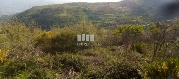 Grundstück in Baiao, Portugal 6300m², Nr. 59391 3